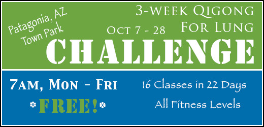 3 week qigong for lung challenge