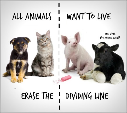All Animals want to live