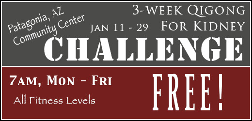 Qigong for Kidney Challenge